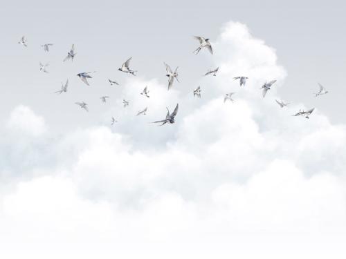 glv