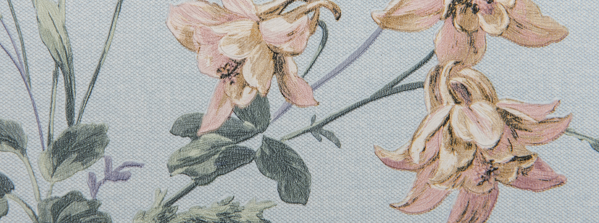 Изображение Andrea Rossi Gavi 54373-5