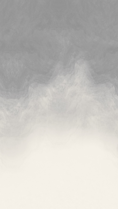 79239-1 Панно AS Creation 159*280, Облачная вуаль серебро