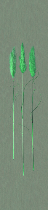 33272 Панно Marburg "Природное богатство" 0,7х3,3 м