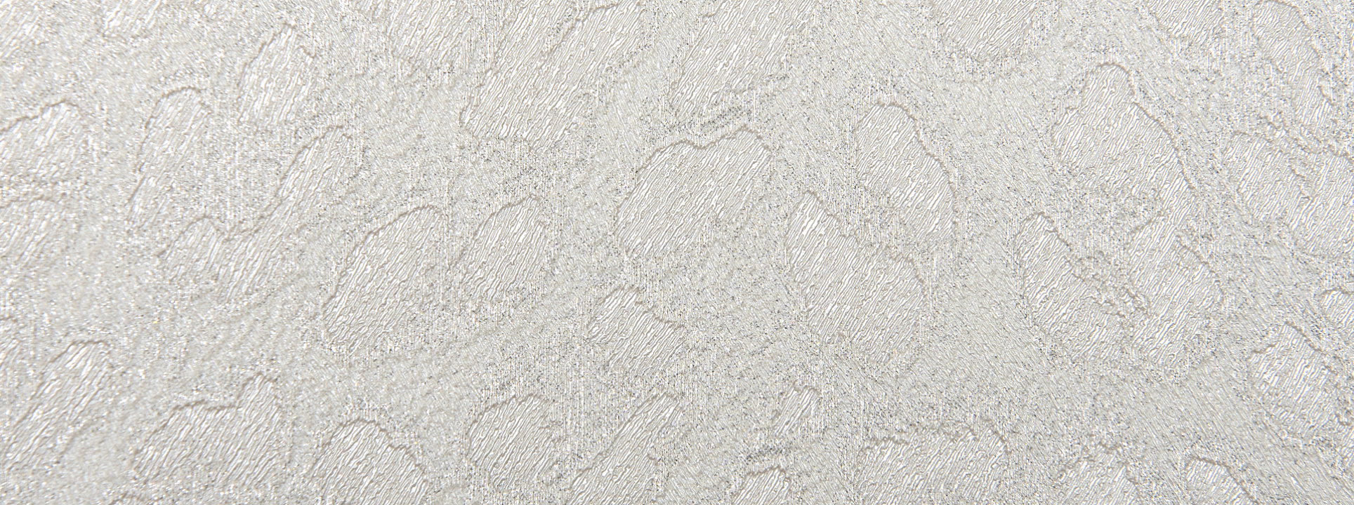 Изображение Zambaiti Philipp Plein 80041