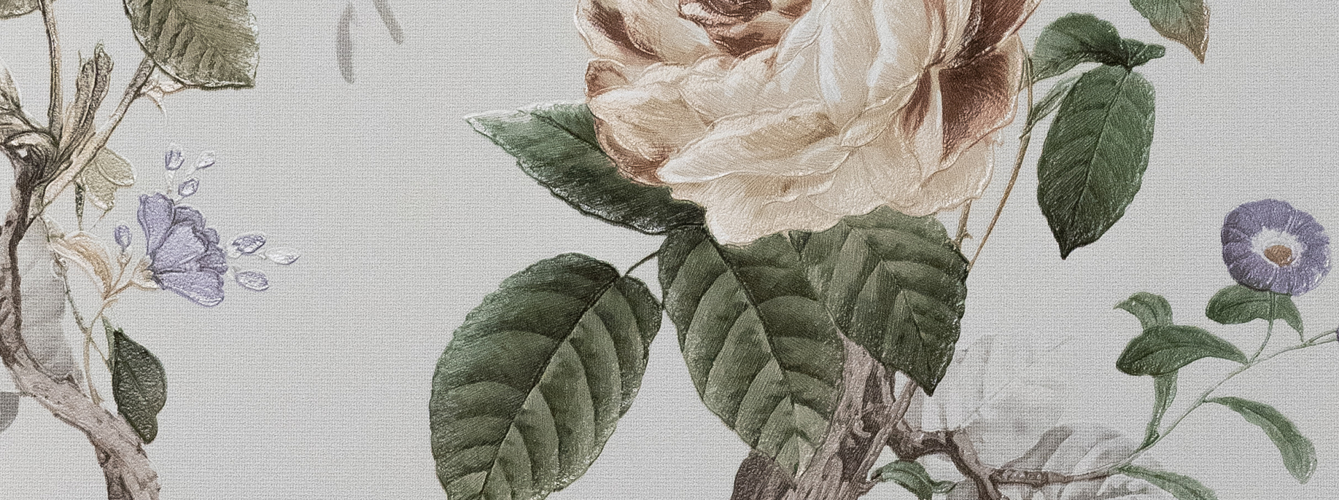 Изображение Andrea Rossi Cavoli 54421-1