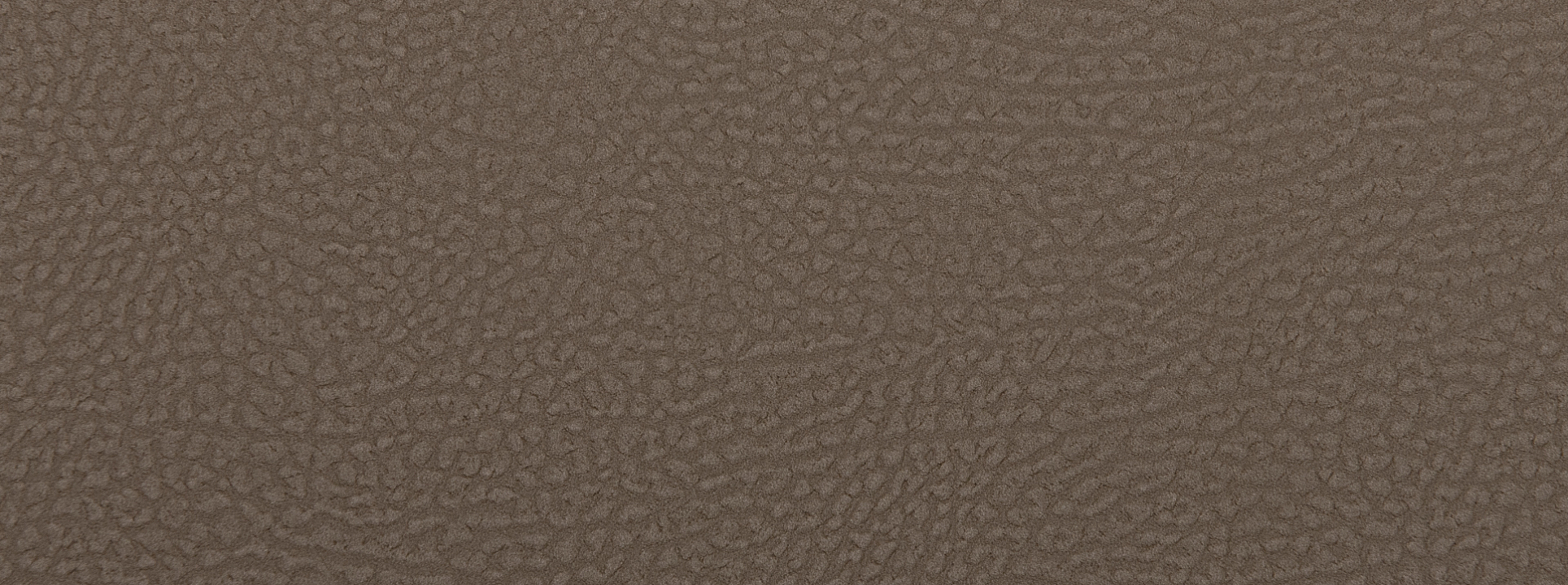 Изображение Rasch African Queen III 752724