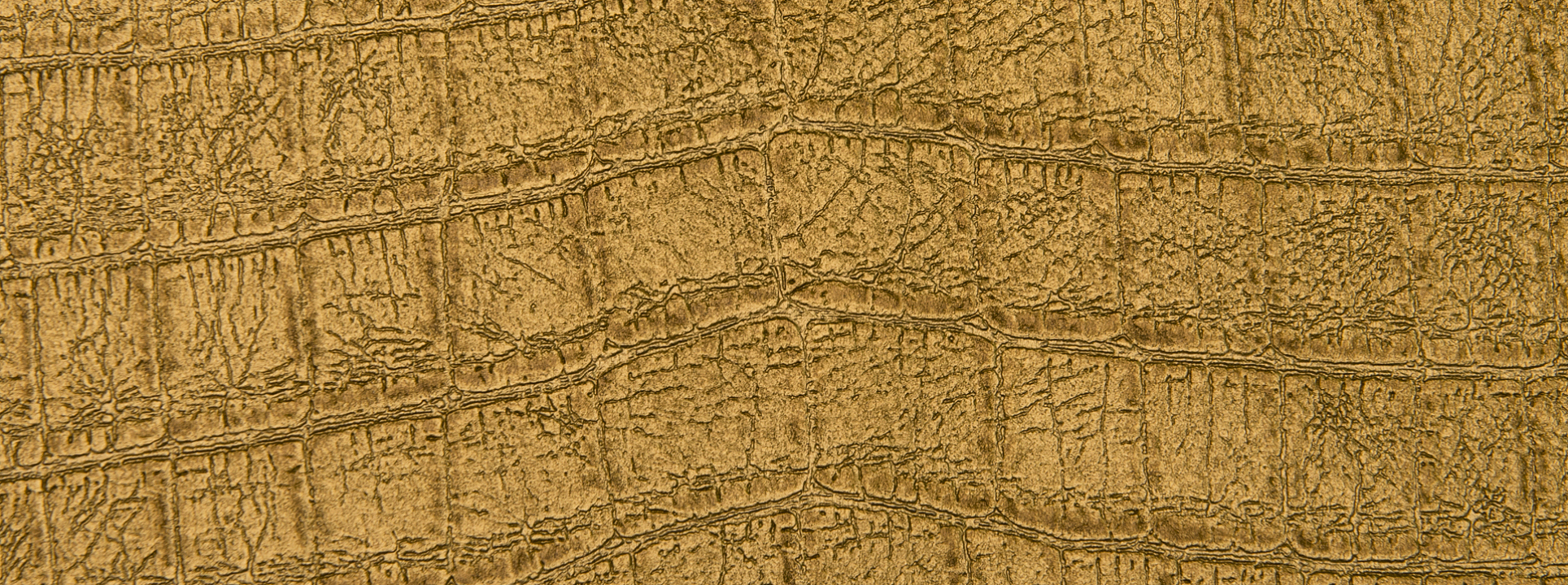 Изображение Rasch African Queen III 751369